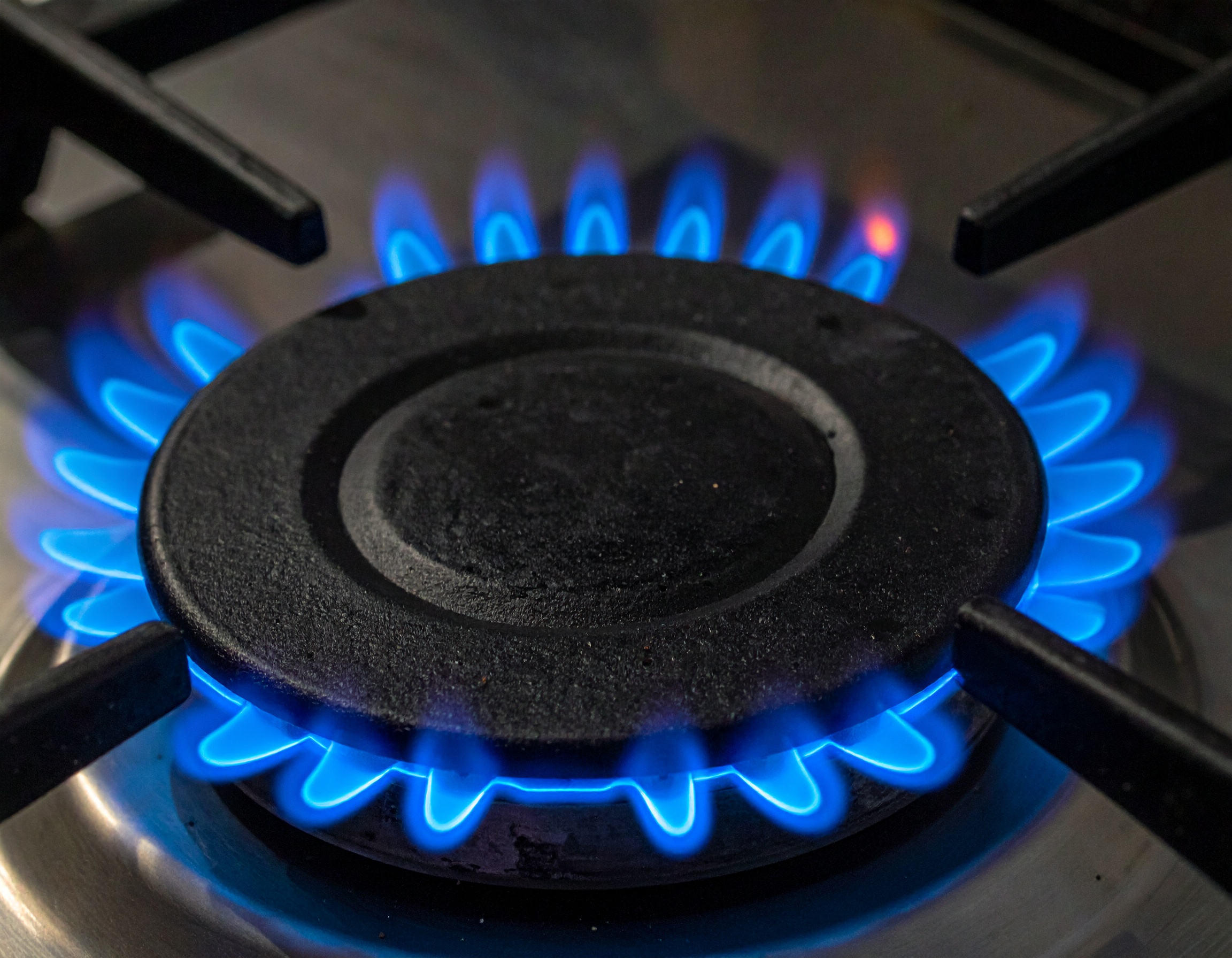 料理上手の近道は「火加減」から：食材別・調理法別の完全ガイドタイトルイメージ